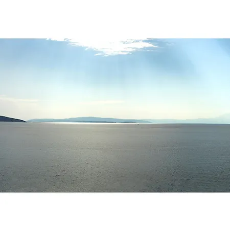 Art Panorama