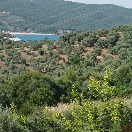 فندق Art Panorama